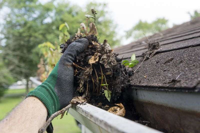 Close-up of Gutter Debris