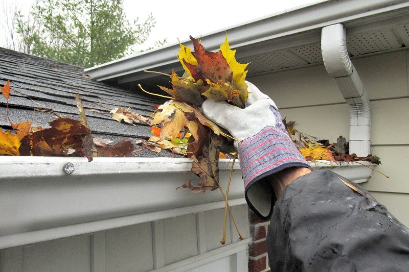 Gutter system with leaf guard