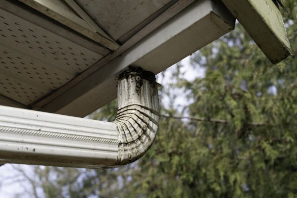 Cost of Roof Drain Replacement in Canton